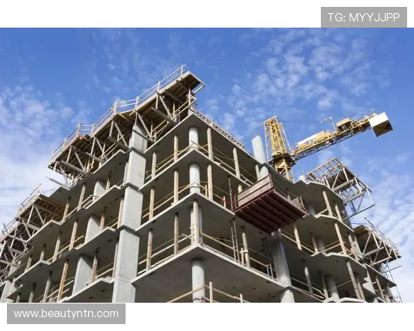 亚星地址官方最新入口地址及其安全性分析与使用建议