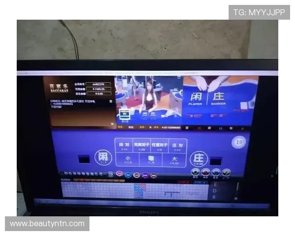 亚星网赌：揭秘亚星网赌平台的运营模式与安全性分析